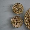 Gold and Pink Brooch Set,Sarah Coventry,Signed Sarah Coventry Jewelry,Sarah Coventry Brooch and Earrings,Sarah Coventry Brooch, Sarah Coventry Earrings, Fashion Splendor, 1970 Jewelry